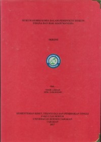 Hukuman Kebiri Kimia Dalam Perspektif Hukum Pidana Dan Hak Asasi Manusia