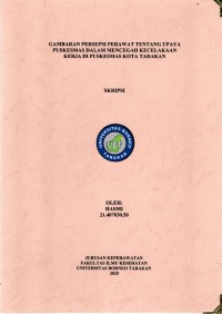 Gambaran Persepsi Perawat Tentang Upaya Puskesmas Dalam Mencegah Kecelakaan Kerja Di Puskesmas Kota Tarakan