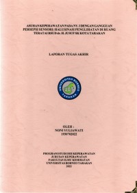 Asuhan Keperawatan Pada Ny. I Dengan Gangguan Persepsi Sensori: Halusinasi Penglihatan Di Ruang Teratai RSUD Dr. H. Jusuf SK Kota Tarakan