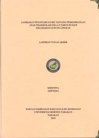 Gambaran Pengetahuan Ibu Tentang Perkembangan Anak Prasekolah Usia 4-5 Tahun Di PAUD Kelurahan Gunung Lingkas