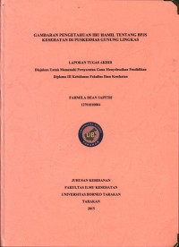 Gambaran Pengetahuan Ibu Hamil Tentang BPJS Kesehatan Di Puskesmas Gunung Lingkas