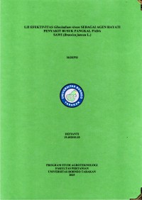 UJI EFEKTIVITAS Gliocladium Virens SEBAGAI AGEN HAYATI PENYAKIT BUSUK PANGKAL PADA
 SAWI (Brassica Juncea L.)