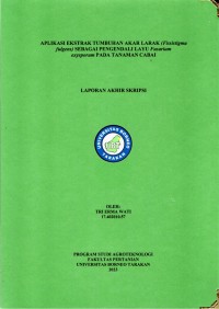 Aplikasi Ekstrak Tumbuhan Akar Larak (Fissistigma fulgens) Sebagai Pengendali Layu Fusarium oxysporum Pada Tanaman Cabai