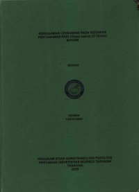 Keragaman Cendawan Pada Rizosfer Pertanaman Padi (Oryza sativa) Di Tanah Masam