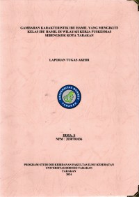 Gambaran Karakteristik Ibu Hamil Yang Mengikuti Kelas Ibu Hamil Di Wilayah Kerja Puskesmas Sebengkok Kota Tarakan