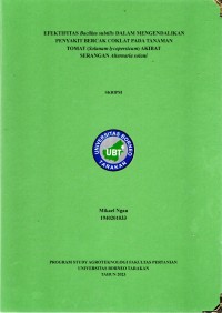Efektifitas Bacillus Subtilis Dalam Mengendalikan Penyakit Bercak Coklat Pada Tanaman Tomat (Solanum lycopersicum) Akibat Serangan Alternaria Solani