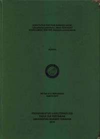 Efektivitas Ekstrak Bawang Dayak (Eleutherine palmifolia L Merr) Terhadap Penghambat Bakteri Ralstonia solanacearum