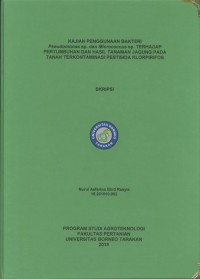 Kajian Penggunaan Bakteri Pseudomonas Sp. Dan Micrococcus Sp. Terhadap Pertumbuhan Dan Hasil Tanaman Jagung Pada Tanah Terkontaminasi Pestisida Klorpirifos