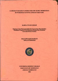 Gambaran Kejadian Anemia Pada Ibu Hamil Trimester II Di Puskesmas Gunung Lingkas Tahun 2012