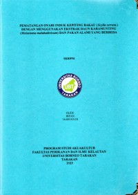 Pematangan Ovari Induk Kepiting Bakau (Scylla serrata) Dengan Menggunakan Ekstrak Daun Karamunting (Melastoma malabathricum) Dan Pakan Alami Yang Berbeda