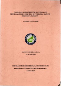 Gambaran Karakteristik Ibu Nifas Yang Mengalami Luka Perineum Di Puskesmas Karang Rejo Tarakan
