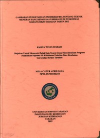 Gambaran Pengetahuan Primigravida Tentang Teknik Meneran Yang Benar Saat Bersalin Di Puskesmas Karang Rejo Tarakan Tahun 2012