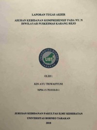 Asuhan Kebidanan Komprehensif Pada Ny. N Di Wilayah Puskesmas Karang Rejo