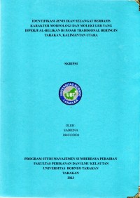 Identifikasi Jenis Ikan Selangat Berbasis Karakter Morfologi Dan Molekuler Yang Diperjualbelikan Di Pasar Tradisional Beringin Tarakan, Kalimantan Utara