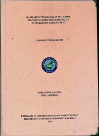 Gambaran Pengetahuan Ibu Hamil Tentang Anemia Pada Kehamilan Di Puskesmas Karang Rejo