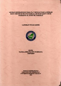 Asuhan Keperawatan Pada Tn. T Dengan Pasca Operasi Batu Ureter Di Ruang Dahlia A Rumah Sakit Umum Daerah Dr. Jusuf SK Tarakan