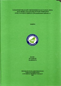 Uji Konsentrasi ZPT Monosodium Glutamat (MSG) Dan Media Tanam Sekam Padi Terhadap Stek Tanaman Krisan (Chrysanthemum indicum L.)
