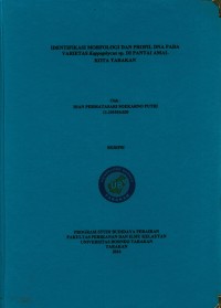 Identifikasi Morfologi Dan Profil DNA Pada Varietas Kappaphycus sp. Di Pantai Amal Kota Tarakan