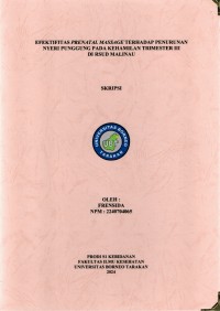 Efektifitas Prenatal Massage Terhadap Penurunan Nyeri Punggung Pada Kehamilan Trimester III Di RSUD Malinau