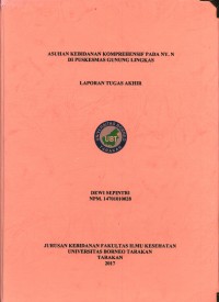 Asuhan Kebidanan Komprehensif Pada Ny. N Di Puskesmas Gunung Lingkas