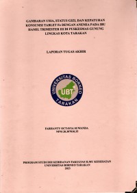 Gambaran Usia, Status Gizi, Dan Kepatuhan Konsumsi Tablet Fe Dengan Anemia Pada Ibu Hamil Trimester III Di Puskesmas Gunung Lingkas Kota Tarakan Tahun 2023