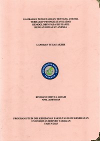 Gambaran Pengetahuan Tentang Anemia Terhadap Peningkatan Kadar Hemoglobin Pada Ibu Hamil Dengan Riwayat Anemia