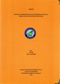 Pemetaan Produktivitas Dan Efektivitas Tenaga Kerja Sektor Industri Di Indonesia