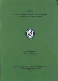 Kajian Toleransi Beberapa Genotip Jagung (Zea mays. L) Pada Tanah Masam