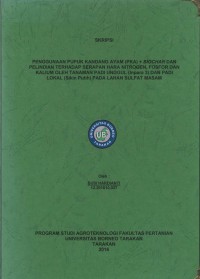 Penggunaan Pupuk Kandang Ayam (PKA) + Biochar Dan Pelindian Terhadap Serapan Hara Nitrogen, Fosfor Dan Kalium Oleh Tanaman Padi Unggul (Inpara 3) Dan Padi Lokal (Sikin Putih) Pada Lahan Sulfat Masam