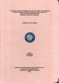 Gambaran Asuhan Keperawatan Pada Pasien Post Operasi Sectio Caesarea Dengan Indikasi Letak Sungsang Di Ruang Perawatan Mawar RSUD Dr. H. Jusuf SK Tarakan