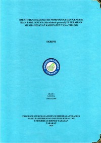 Identifikasi Morfologi Dan Genetik Ikan Pari Jantan (Maculabatis gerrardi) Di Perairan Muara Sesayap Kabupaten Tana Tidung