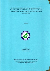 IDENTIFIKASI BAKTERI Vibrio Sp., Salmonella Sp., DAN Escherichia Coli PADA RUMPUT LAUT (Kappaphycus Alvarezii) YANG BERASAL DARI PERAIRAN NUNUKAN, TARAKAN DAN SEBATIK