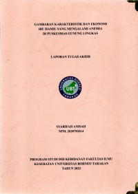 Gambaran Karakteristik Dan Ekonomi Ibu Hamil Yang Mengalami Anemia Di Puskesmas Gunung Lingkas