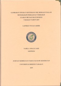 Gambaran Tingkat Kecemasan Ibu Dalam Menghadapi Persalinan Terhadap Luaran Ibu Dan Bayi Di RSUD Tarakan Tahun 2019