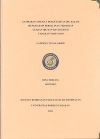Gambaran Tingkat Pengetahuan Ibu Dalam Menghadapi Persalinan Terhadap Luaran Ibu Dan Bayi Di RSUD Tarakan Tahun 2019