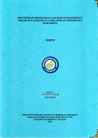 Identifikasi Spesies Ikan Lais Dari Sungai Rahayu (Selor) Di Kalimantan Utara Dengan Metode DNA Barcoding